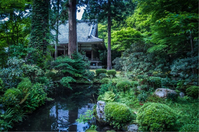緑に囲まれた日本の寺院と庭園